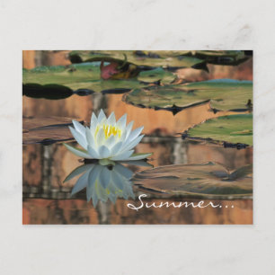 Sommer-Sonnenwende-Party Einladungs-Postkarte Einladungspostkarte