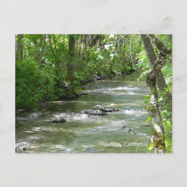 Sommer Spaß... Postkarte (Vorderseite)