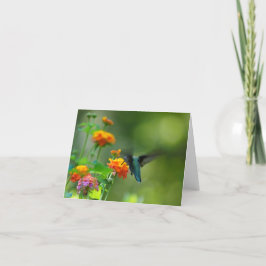 Sommer summend karte