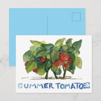Sommer-Tomaten Obst Gemüse Garten Brieffreund Postkarte
