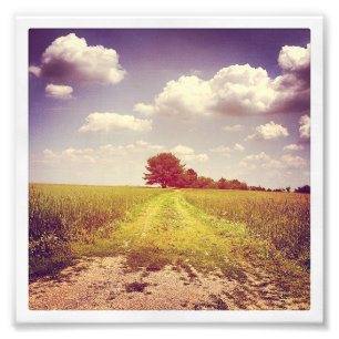 Sommer weg von der Straße Fotodruck