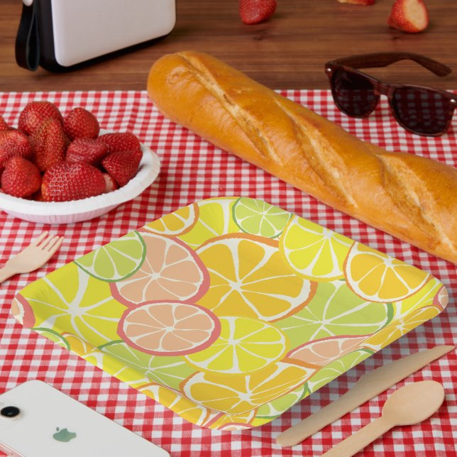 Sommer-Zitrus-Scheibe Pappteller (Picknick)