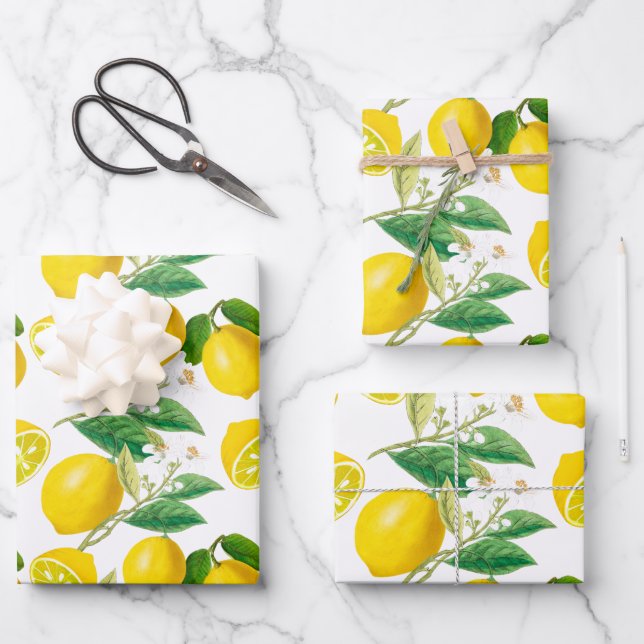 Sommer, Zitrusfrüchte, mediterraner Blumenstil, Zi Geschenkpapier Set (Vorderseite)
