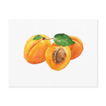 Sommeraprikos Aquarell