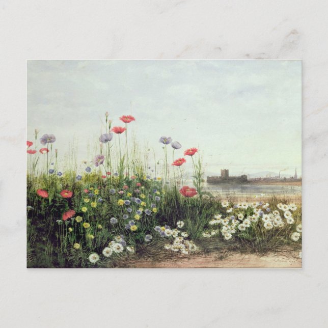 Sommerbank der Blume Postkarte (Vorderseite)