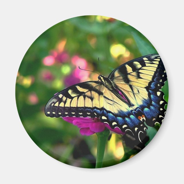 Sommerbesucher Magnet (Vorne)