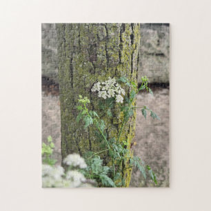 Sommerblumen