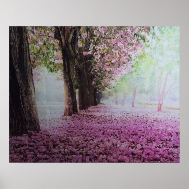 Sommerblüten Poster (Vorne)