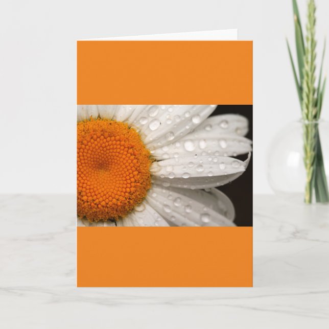 Sommerdaisy-geklappte leere Grußkarte Karte (Vorderseite)