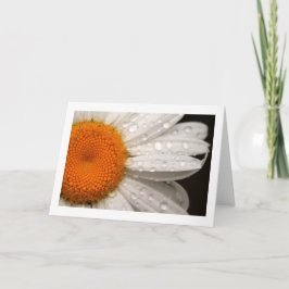 Sommerdaisy-geklappte leere Grußkarte Karte
