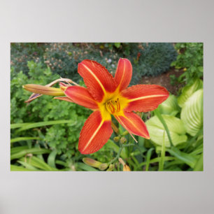 Sommerfarben Poster