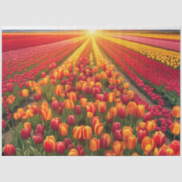 Sommerfeld der Tulips Dekoupage Seidenpapier