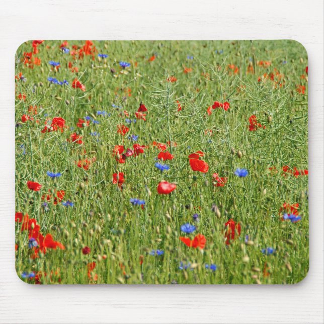 Sommerfeld mit roten und blauen Blumen Mousepad (Vorne)