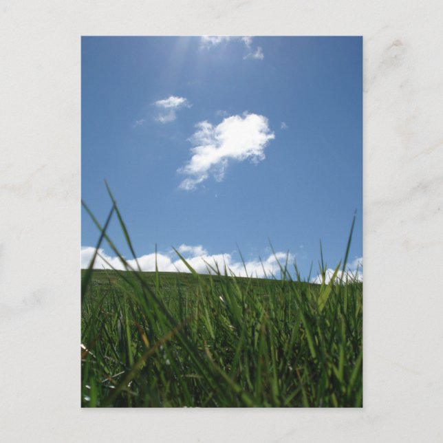 Sommerfeld Postkarte (Vorderseite)