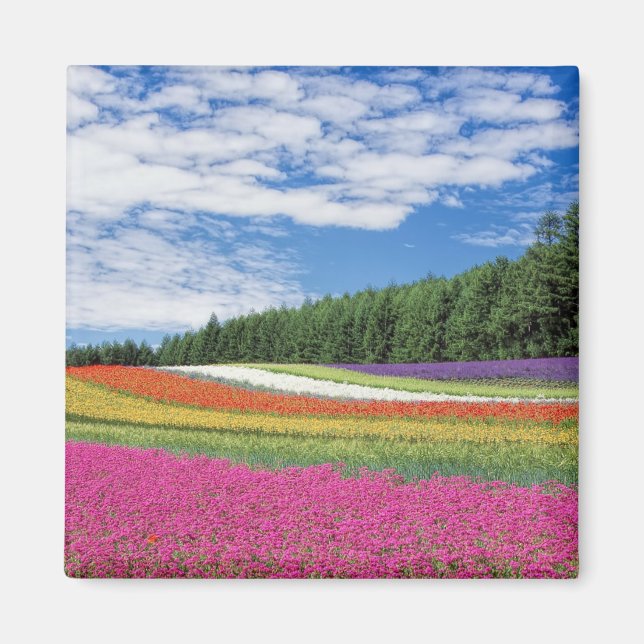 Sommerfeldröhren von Blume Magnet (Vorne)