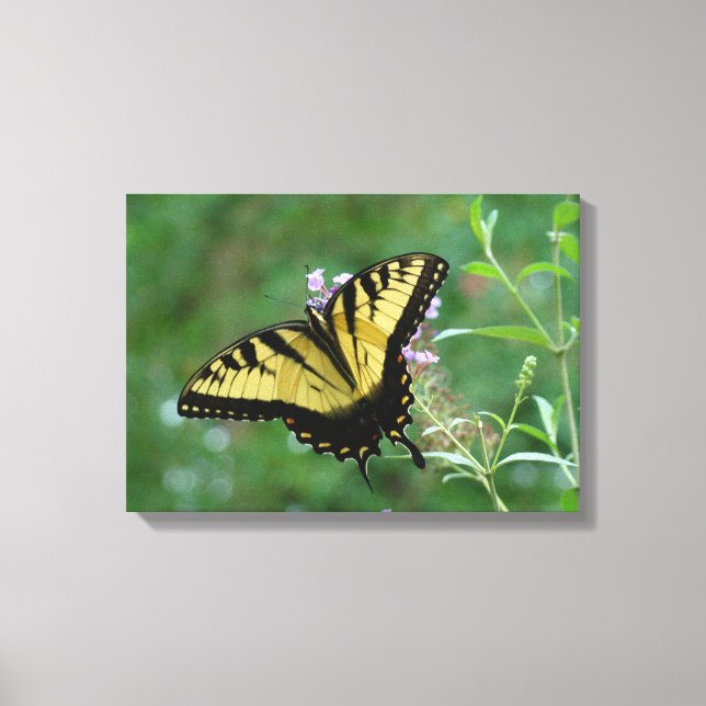 Sommerflieger! Leinwanddruck (Vorderseite)