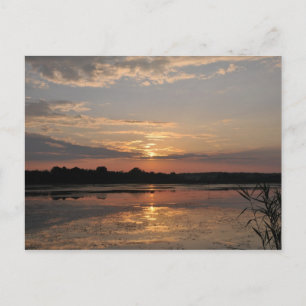 Sommerfreuden, Sonnenuntergang in somogischem Land Postkarte