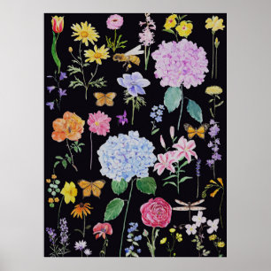 Sommergarten Blume schwarz Hintergrund Poster