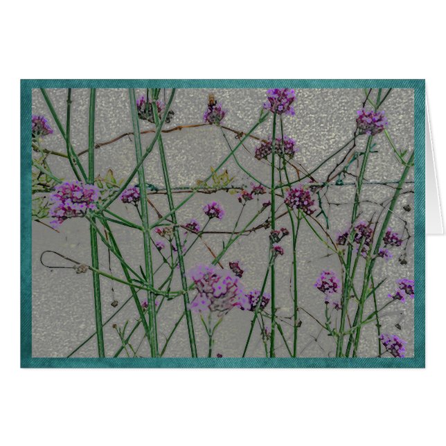 Sommergarten-Blumen #1 (Vorderseite (Horizontal))