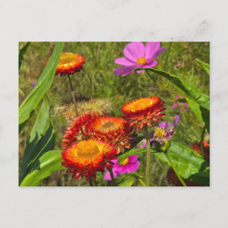 Sommergarten Einladungspostkarte