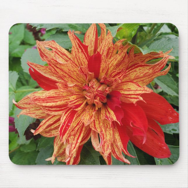 Sommergarten Mousepad (Vorne)