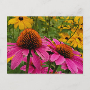 Sommergarten Postkarte