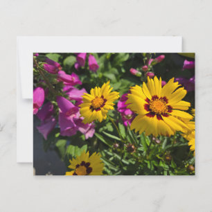 Sommergarten Postkarte