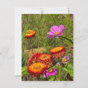 Sommergarten RSVP Karte