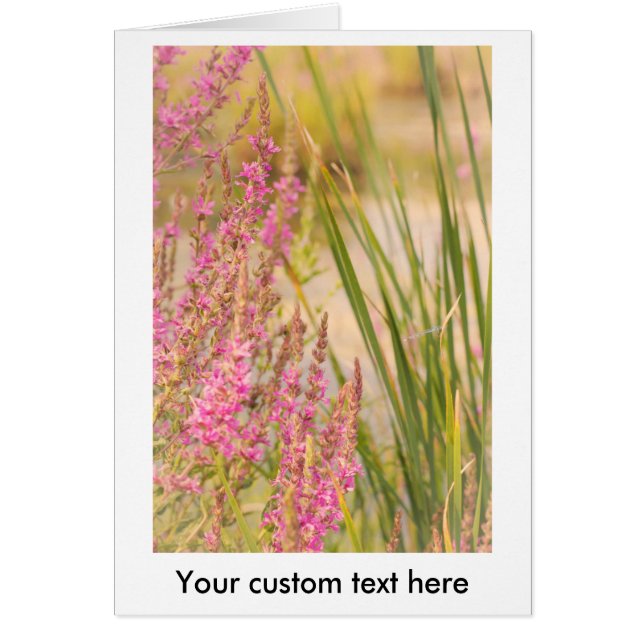 Sommergras und Blume (Vorne)