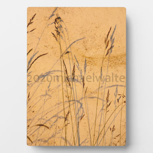 Sommergräser und Schatten Postkartenverpackung Acr Fotoplatte