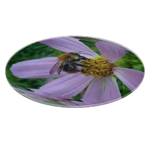 Sommerhitze Schneidebrett