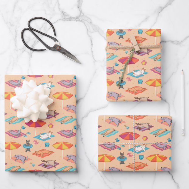Sommerkatzen am Strand farbenfrohe Geschenkwrap Geschenkpapier Set (Vorderseite)
