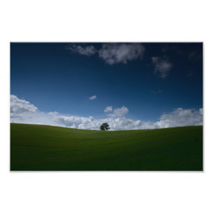 Sommerlandschaft (alte Linslade 8355) Fotodruck