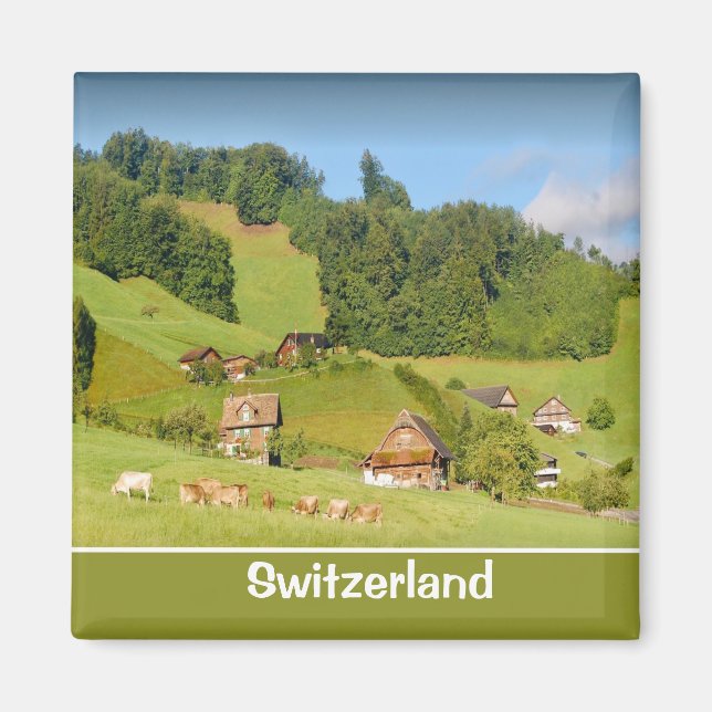 Sommerlandschaft in der Schweiz Magnet (Vorne)