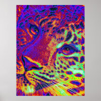 Sommerleopard