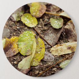 Sommerliche Blätter unter den Regentropfen Button