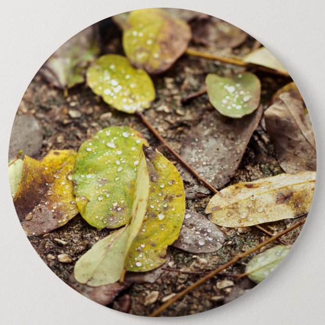 Sommerliche Blätter unter den Regentropfen Button (Vorderseite)