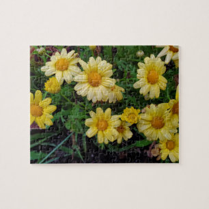 Sommerliche Blume