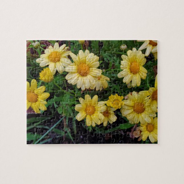 Sommerliche Blume (Horizontal)