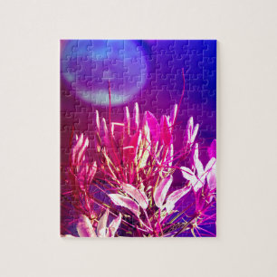 Sommerliche Blume