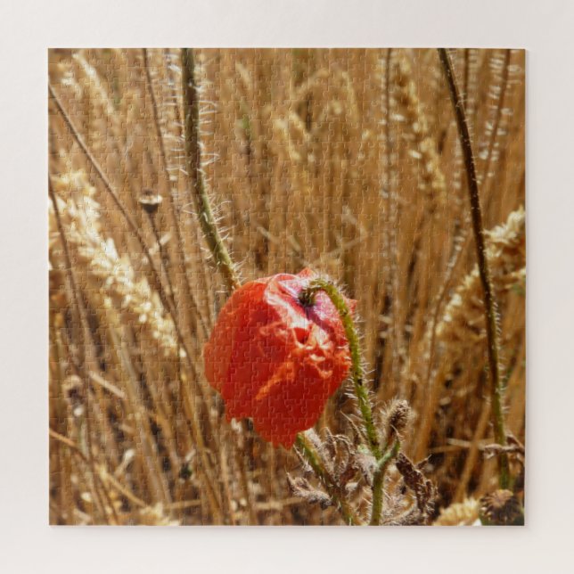 Sommerliche Blume auf dem Weizenfeld (Vertikal)