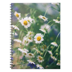 Sommerliche Blume auf grüner Wiese mit blau und bl Notizblock