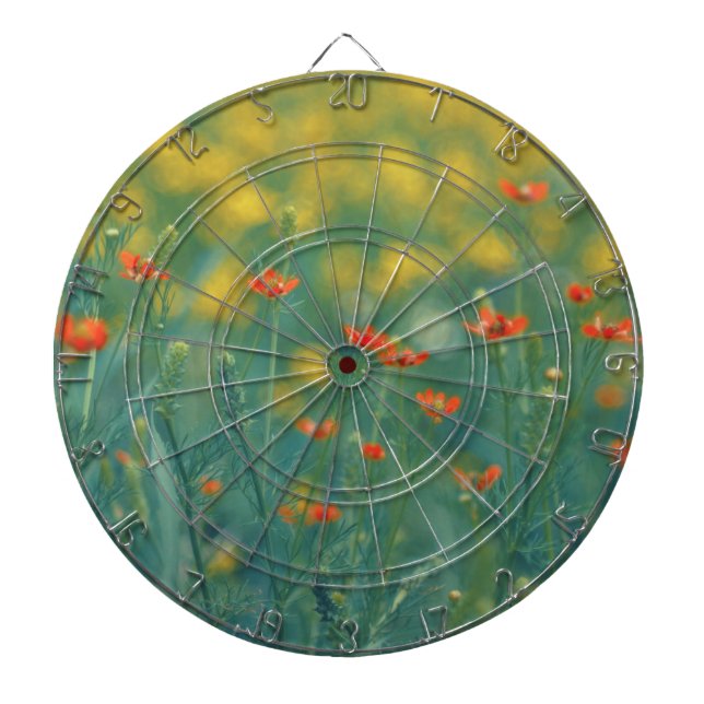 Sommerliche Blume (Blumenfeld) (Rote Blume) Dartscheibe (vorne)