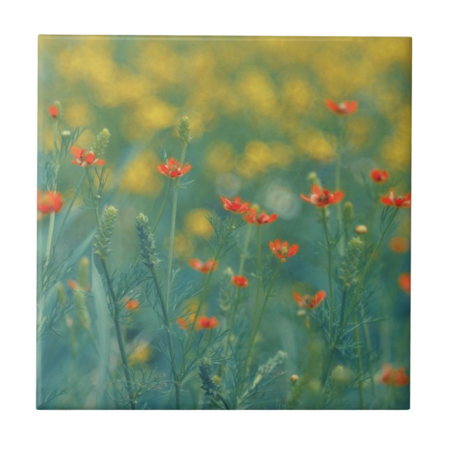 Sommerliche Blume (Blumenfeld) (Rote Blume) Fliese (Vorderseite)