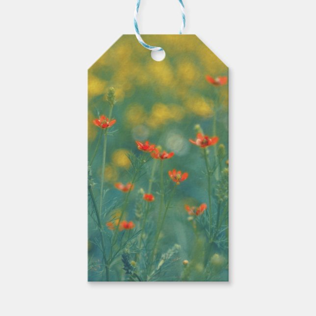 Sommerliche Blume (Blumenfeld) (Rote Blume) Geschenkanhänger (Vorderseite)