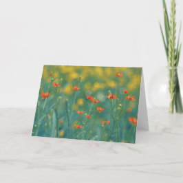 Sommerliche Blume (Blumenfeld) (Rote Blume) Karte