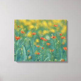 Sommerliche Blume (Blumenfeld) (Rote Blume) Leinwanddruck