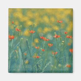 Sommerliche Blume (Blumenfeld) (Rote Blume) Magnet