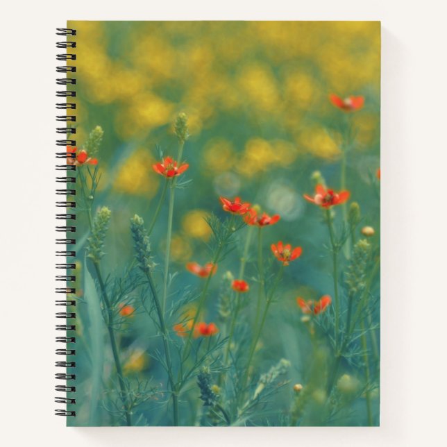 Sommerliche Blume (Blumenfeld) (Rote Blume) Notizbuch (Vorderseite)