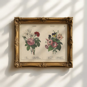 Sommerliche Blume   Charlotte Mary Yonge Poster